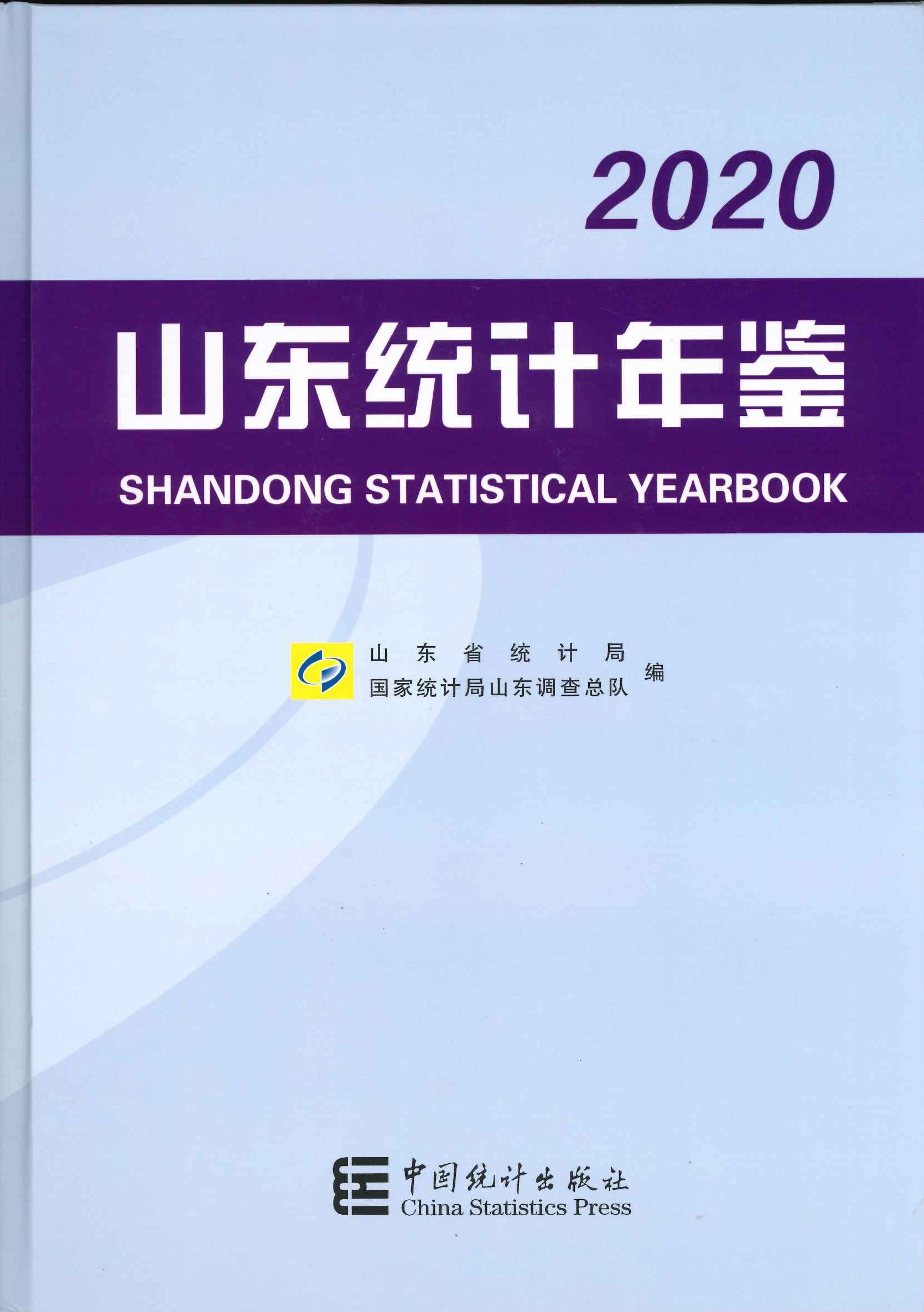 山东统计年鉴2020