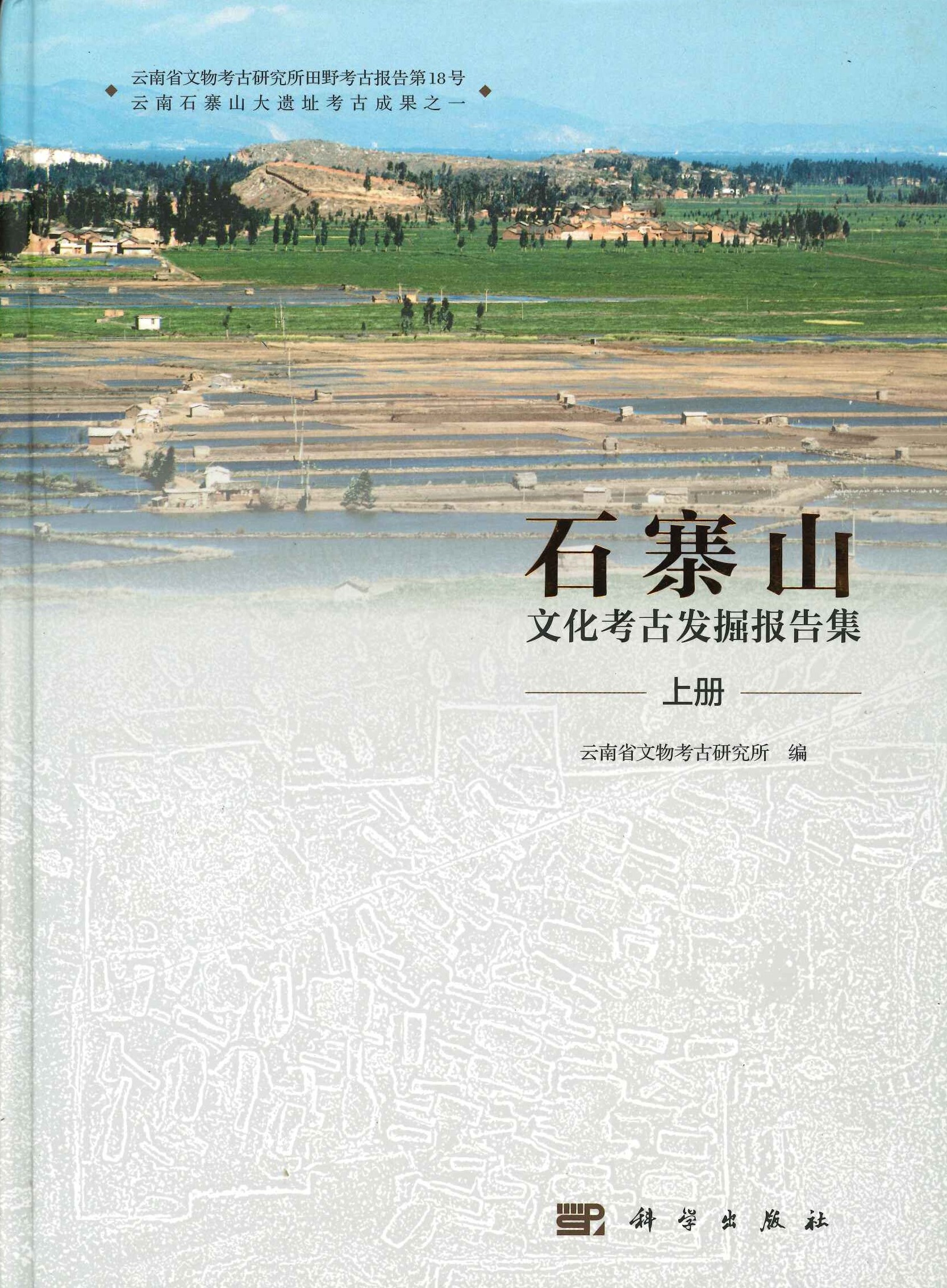 石寨山文化考古发掘报告集(上下)(云南省文物考古研究所田野考古报告)