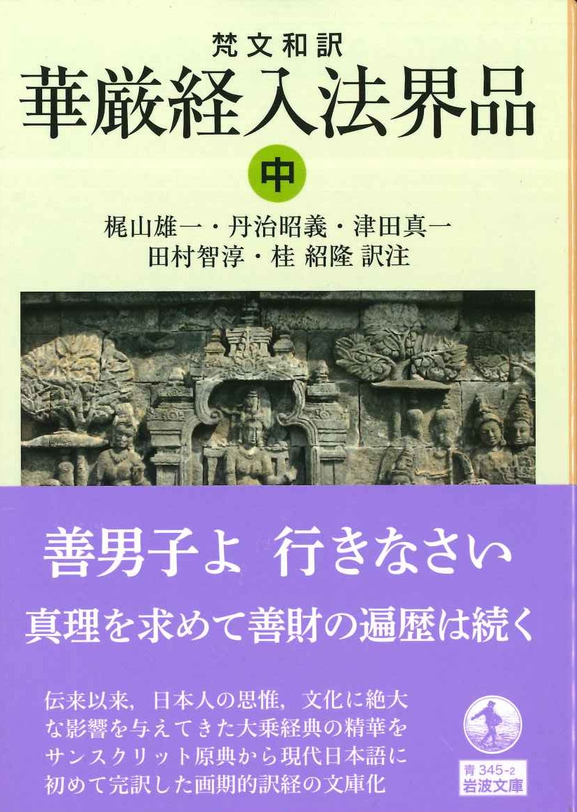 梵文和訳 華厳経入法界品(中)(岩波文庫)