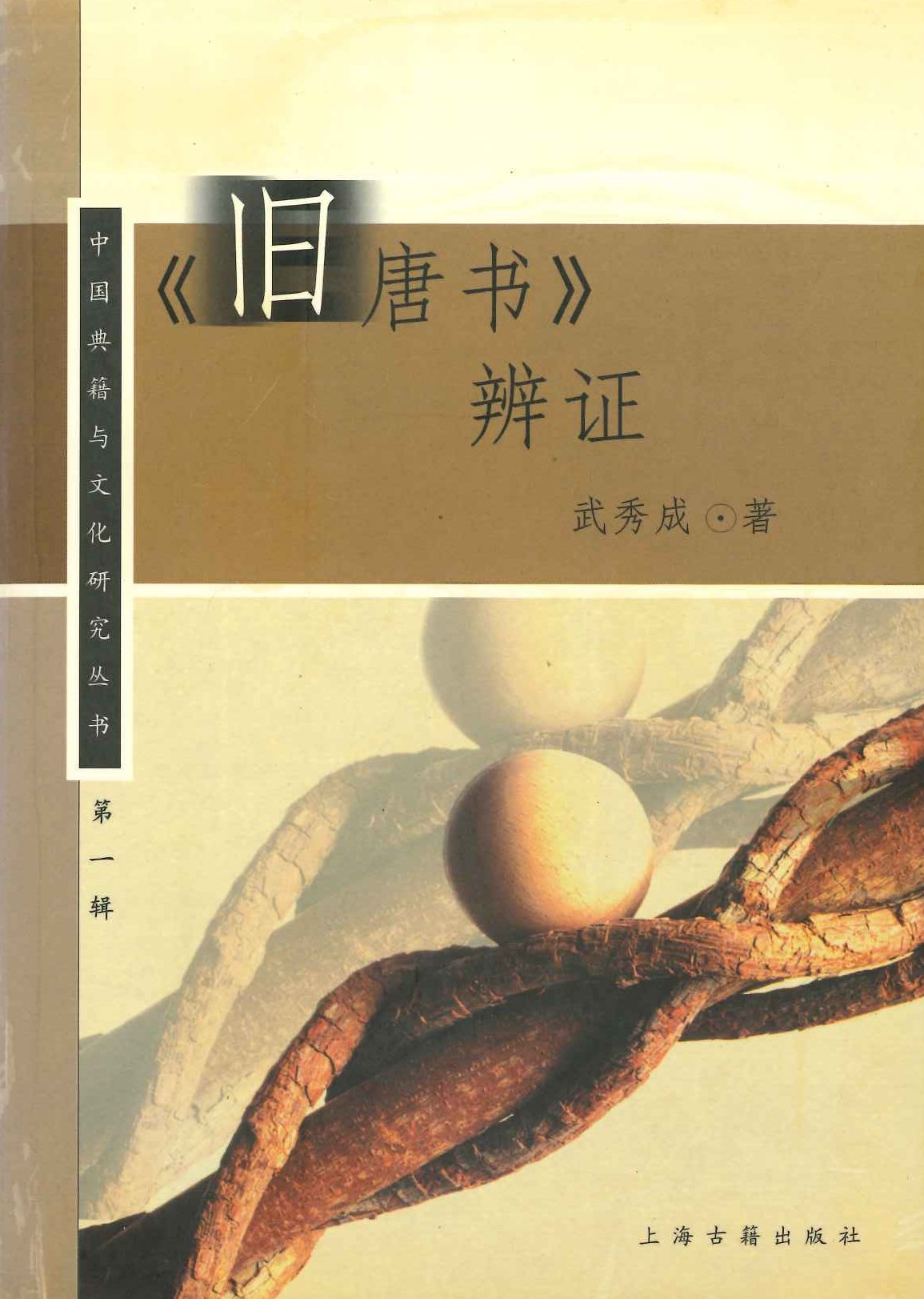 《旧唐书》辨证(中国典籍与文化研究丛书)