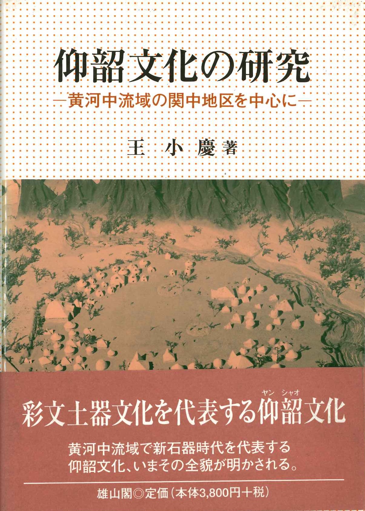 仰韶文化の研究-黄河中流域の関中地区を中心に-(特価本)